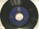 soul/funk BIG DEE IRWIN 