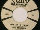 Rare Garage Rock Fuzz 45 THE TRACERS She Said Yeah / Watch Me SULLY Promo mp3
