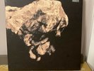 Pixies: Death to the Pixies 10