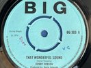 Dobby Dobson that wonderful sound Big BG 303  7” Vinyl Record Reggae 1970