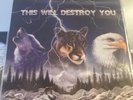 this will destroy you vinyl