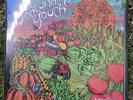 *SEALED* Fortunate Youth - Live From California Vinyl LP Record NEW