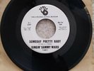 Sammy Ward / Someday Pretty Baby Tamla Label T-54071 Promo / Vinyl EX