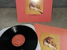 The Frights - YOU ARE GOING TO HATE THIS - Vinyl LP - VG+ Wax  Rare
