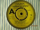 THE ASSOCIATION 1966 DEMO 
