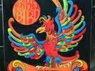 PROG ROCK: RARE BIRD 'RARE BIRD' EX VINYL EX SLEEVE SUPERB COPY