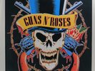 GUNS N' ROSES– Use Your Illusion I & II 1991 Brazil Promo-Only LP NM vinyl