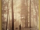 Vinyl Taylor Swift - Folklore 2LP Deluxe Edition beige In the Trees Rock rar