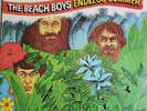 Vintage  The Beach Boys 