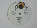 SUPER CAT Mandela Land ECLIPSE Digi Roots Reggae 12