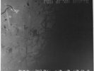 Fullmoon Evil Aryan United LP  Kristallnacht Moonblood Funeral Seigneur Voland