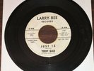 Rare 45 rpm garage rock TERRY GALE The Voodoo/Just 15 1965 Larry-Bee 1107 promo