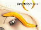 A Perfect Circle Thirteenth Step LP record Music On Vinyl MOV 180g black vinyl