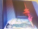 The Goo Goo Dolls Dizzy Up The Girl Ltd. 20th Anniversary Edition Purple Swirl