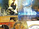 Hedge & Donna Complete: All 6 Vinyl LPs From The Legendary Folk Duo; (see below)