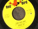 RODDIE JOY: come back baby / love hit me with a wallop RED BIRD 7