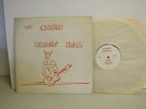 The Satans Raisin' Hell  Rock LP