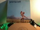 Morning Dew -Same-, psych rock, Original USA , Roulette 1970