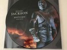 Michael JACKSON : History Continues 2 LP, Picture Vinyl