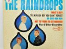 The RAINDROPS, Self Titled, Jubilee Records JGS 5023 Stereo, Vinyl Is Near Mint