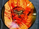 Dismember – Indecent And Obscene Nuclear Blast Picture-Disc Series – NB 077-1