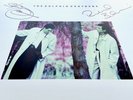 The Dolphin Brothers signed vinyl LP 'Catch The Fall'