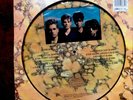 Echo and the bunnymen songs to learn and sing ,limited adition picture album