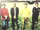 Ocean Colour Scene Idee 