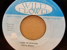 DELROY WILSON COME IN HEAVEN / VERSION JAMAICAN WILD FLOWER 7