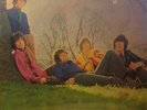 Dave Dee, Dozy, Beaky, Mick & Tich - If No-One Sang (LP, Album, Mono)