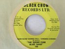 RARE 1968 THE SUGAR CUBE BLUES BAND A Hard Rain's Gonna Fall/ Corinna Corinna 45