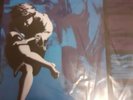 guns n roses use your illusion 1 And 2 vinyl