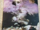 Ministry The Land Of Rape And Honey Vinyl LP 1988 Sire 25799-1 FREE SHIPPING