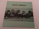 1983 THE ANIMALS Black Animals Test Pressing UK Import LP