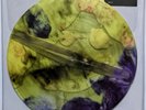 Aaron Dilloway / Evicshen - Hair Gag LP, Victoria Shen, Anti Record