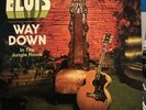 Elvis Presley Way Down In The Jungle Room