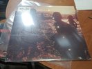 LINKIN PARK ONE MORE LIGHT LP VINYL - SEALED NEW Fye Exclusive Dark Green Lp