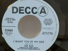 Bag I WANT YOU BY MY SIDE / RED PURPLE AND BLUE (R&R PROMO 45)#32463 PLAYS VG++