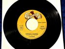 I Flashmen –Sogni E Delusioni/fortuna e ragione Etichetta Luna Park  28020-1972