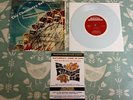 RARE The Chemistry Set Impossible Love 2011 Fruits De Mer 7
