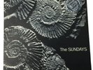 The Sundays Reading Writing & Arithmetic 1990 Original Ltd Vinyl Picture Disc
