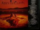 Dirt by Alice in Chains (Vinyl Record MOV)Near Mint Conditions