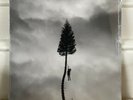 Manchester Orchestra – A Black Mile To The Surface GRAY MARBLE VINYL LP NEW