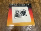 Lynyrd Skynyrd LP - Skynyrd's First and Last - MCA Records 3047 1978