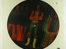 Jimi Hendrix - The Interview Picture Disc LP - Rhino SEALED