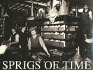 Sprigs Of Time - 78S From The EMI Archive (Vinyl 2LP - 2008 - UK - Reissue)