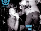 SHELTER - QUEST FOR CERTAINTY - VINYLE NEUF & SCELLE - VINYLE JAUNE