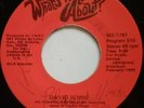 USA, WHATS IT ALL ABOUT DAVID BOWIE BOB DYLAN  7