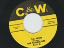 ROCKABILLY - the RUNABOUTS  -  THE PROM  - HEAR - 1962 MEMPHIS TN. CO & WI