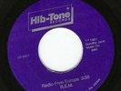 R.E.M.  RADIO FREE EUROPE  45 RPM  ORIGINAL HIB-TONE SINGLE Indie 2nd Press  VG+